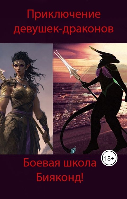 Обложка книги АндроНата Пандракайна Приключение девушек-драконов. Боевая школа Бияконд