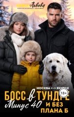 обложка книги Елена Львова "Босс в Тундре. Минус 40 и без плана Б"