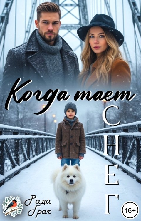 Обложка книги Рада Грач Когда тает снег