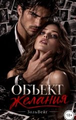 обложка книги ЗольВейг "Объект желания"