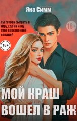 обложка книги Яна Симм "Мой краш вошел в раж"