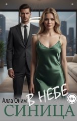 обложка книги Алла Оним "Синица в небе"