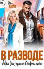 обложка книги Ира Дейл "В разводе. Мне (не) нужен второй шанс"
