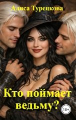 обложка книги Алиса Турецкова "Кто поймает    ведьму?"