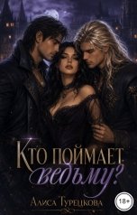 обложка книги Алиса Турецкова "Кто поймает    ведьму?"