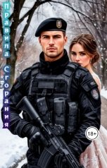 обложка книги Ария Шерман "Правила сгорания"