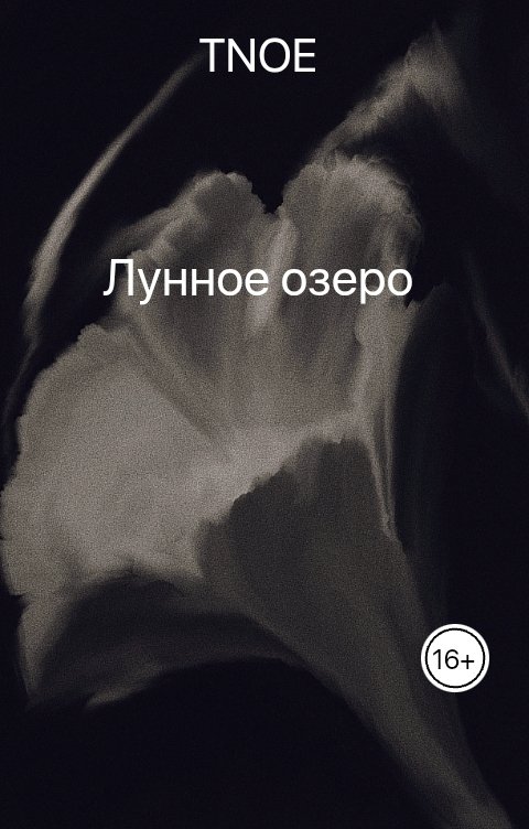Обложка книги TNOE Лунное озеро