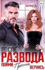 обложка книги Карина Ли "После развода. Пойми, прости, вернись"
