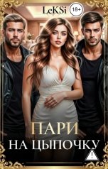 обложка книги LeKSi "Пари на цыпочку"