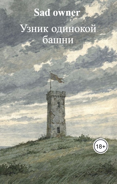 Обложка книги Sad owner Узник одинокой башни