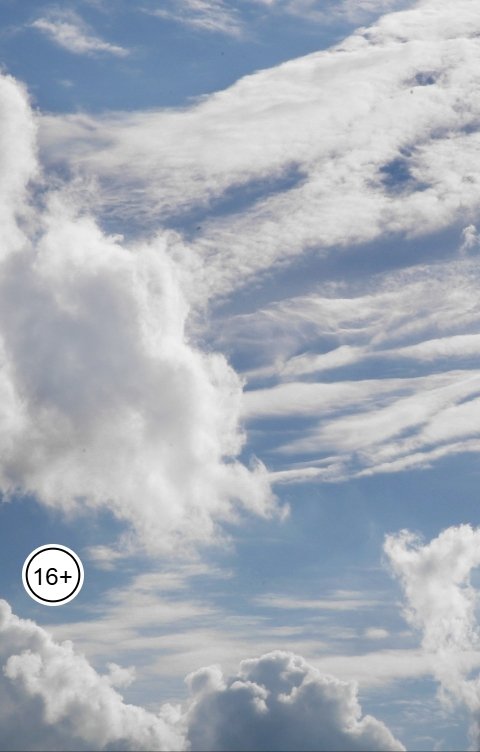 Обложка книги Осинский Вячеслав Диво