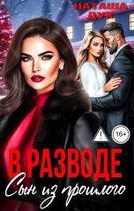 обложка книги Наташа Дух "В разводе. Сын из прошлого"