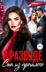 обложка книги Наташа Дух "В разводе. Сын из прошлого"
