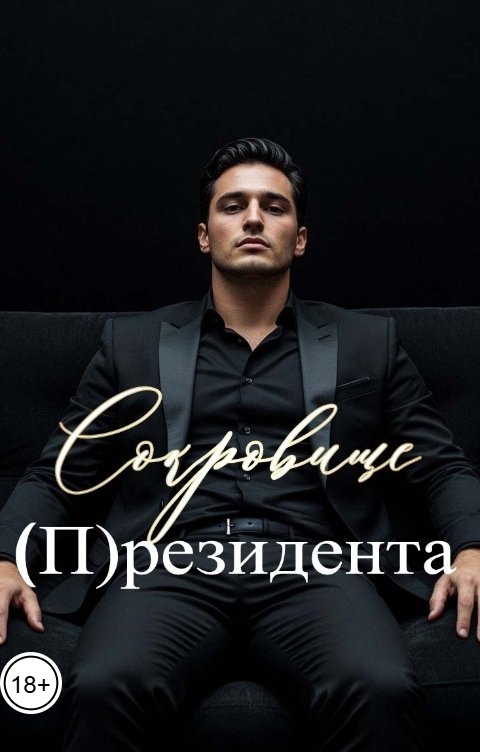 Обложка книги Катерина Снежная Сокровище (П)резидента