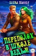 обложка книги Елена Шмидт "Переполох в школе ведьм"