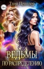 обложка книги Таня Пепплер "Ведьмы по распределению"