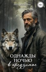 обложка книги Елена Москвичева "Однажды ночью в предзимье"