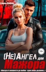 обложка книги Елена Лунёва "(Не)Ангел для мажора."