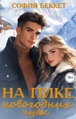 обложка книги София Беккет "На пике новогодних чудес"
