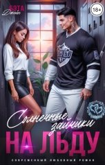 обложка книги Бэта Джейн "Солнечные зайчики на льду"