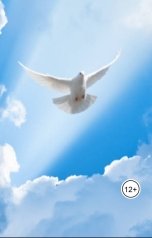 обложка книги Александр Посохов "Басни Посохова про творчество"