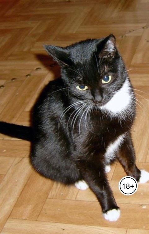 Обложка книги kosta999 SD