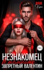 обложка книги Анна Хорн "Незнакомец в темноте. Запретный Валентин"