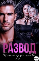 обложка книги Рори Лу "Развод. Осколки предательства"