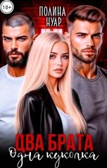 обложка книги Полина Нуар "Два брата. Одна куколка"
