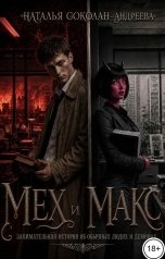 обложка книги Наталья Соколан-Андреева "Мех и Макс, занимательная история об обычных людях и демонах"