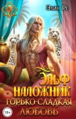 обложка книги Элин Ре "Эльф-наложник. Горько-сладкая любовь"