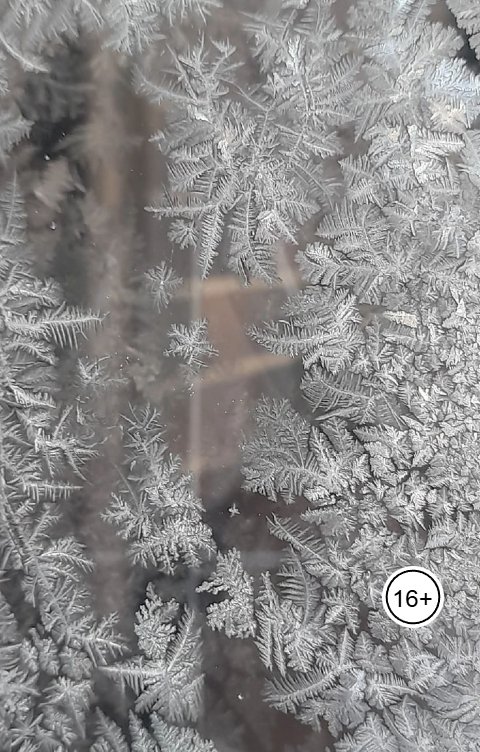 Обложка книги Ася Морозова Переполох на трёх страницах