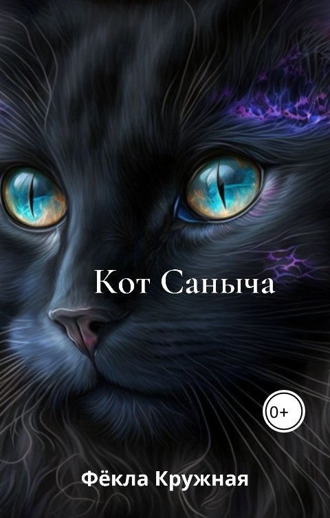 Обложка книги Фёкла Кружная Кот Саныча