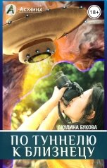 обложка книги Акулина "По туннелю к Близнецу"