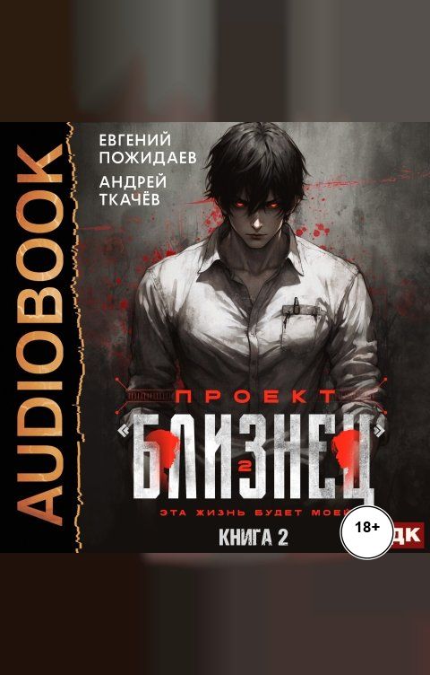 Обложка книги ИДДК Проект «Близнец». Книга 2