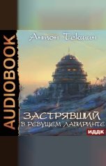 обложка книги Текшин Антон "Застрявший. Книга 4. Застрявший в Ревущем лабиринте"