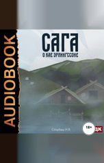 обложка книги Сторбаш Н.В. "Сага о Кае Эрлингссоне. Книга 1"