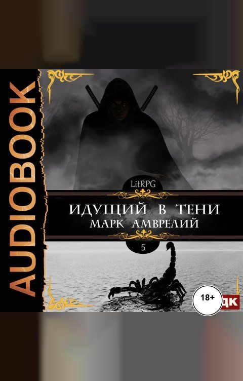 Обложка книги ИДДК Идущий в тени. Книга 5