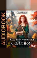 обложка книги Фелис Кира "Как подружиться с зАмком"
