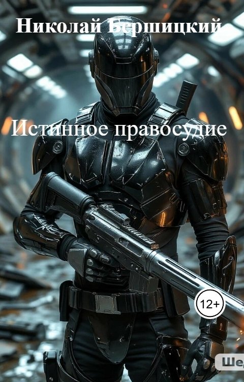 Обложка книги Николай Бершицкий Истинное правосудие