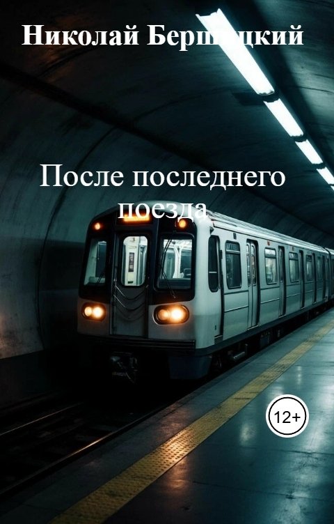 Обложка книги Николай Бершицкий После последнего поезда