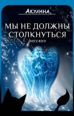 обложка книги Акулина "Мы не должны столкнуться"