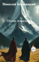 обложка книги Николай Бершицкий "Огонь и железо"