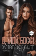 обложка книги Лума Айвен "О, мой босс! Застрявшие в лифте"