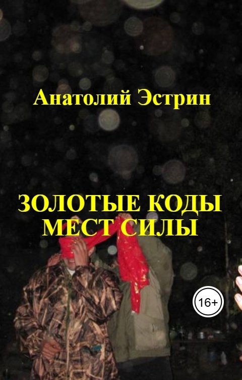 Обложка книги Анатолий Эстрин Золотые коды Мест Силы