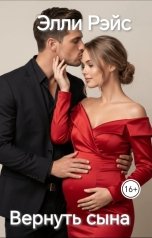 обложка книги Элли Рэйс "Вернуть сына"