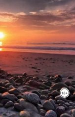 обложка книги Elena Tyurina, Ега Терновский "Кубок Стенли Кубрика"