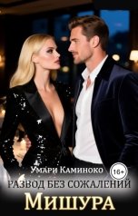 обложка книги Умари Каминоко "Мишура. Развод без сожалений."