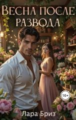 обложка книги Лара Бриз "Весна после развода"