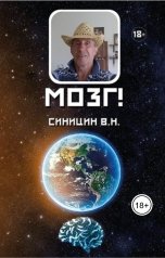 обложка книги vybtyp.books, Синицин Владимир Николаевич "Мозг!"